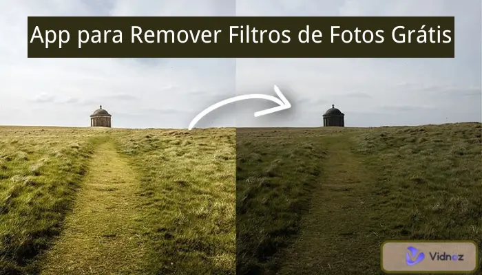 4 Maneiras: App para Remover Filtros de Fotos e Editor IA Grátis