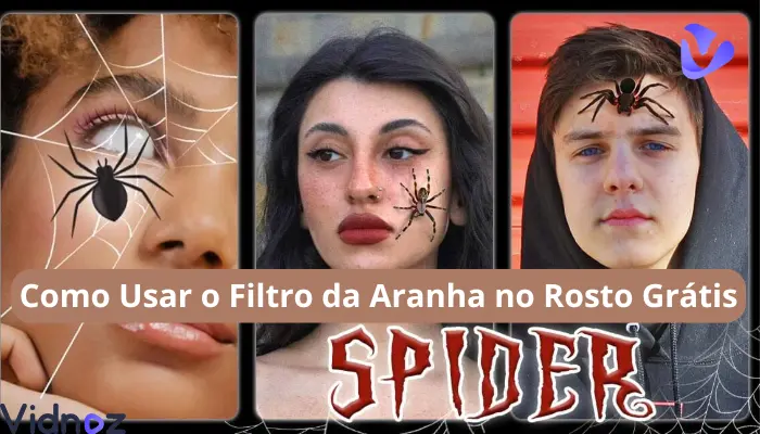 Como Usar Filtro da Aranha no Rosto Grátis: 5 Melhores Aplicativos para Filtro no Rosto