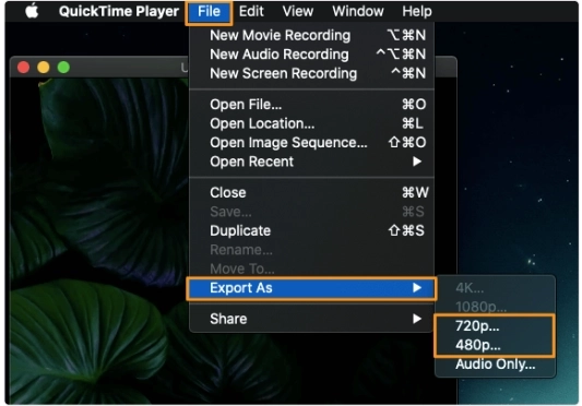 como remover áudio de vídeo no Mac - passo 3