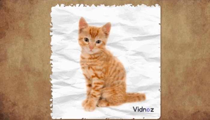 Paper Animator: Dê Vida às suas Imagens com Efeito de Papel Recortado