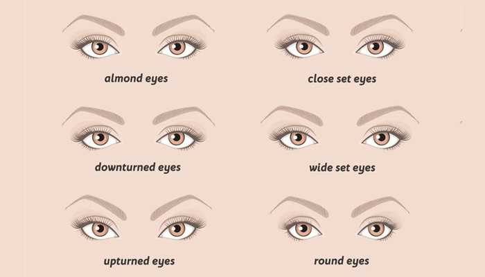 tipo de formato de olhos