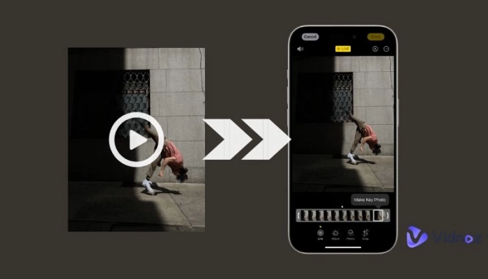 transformar video em live photo vidnoz
