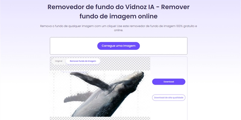 Vidnoz-remover fundo de imagem